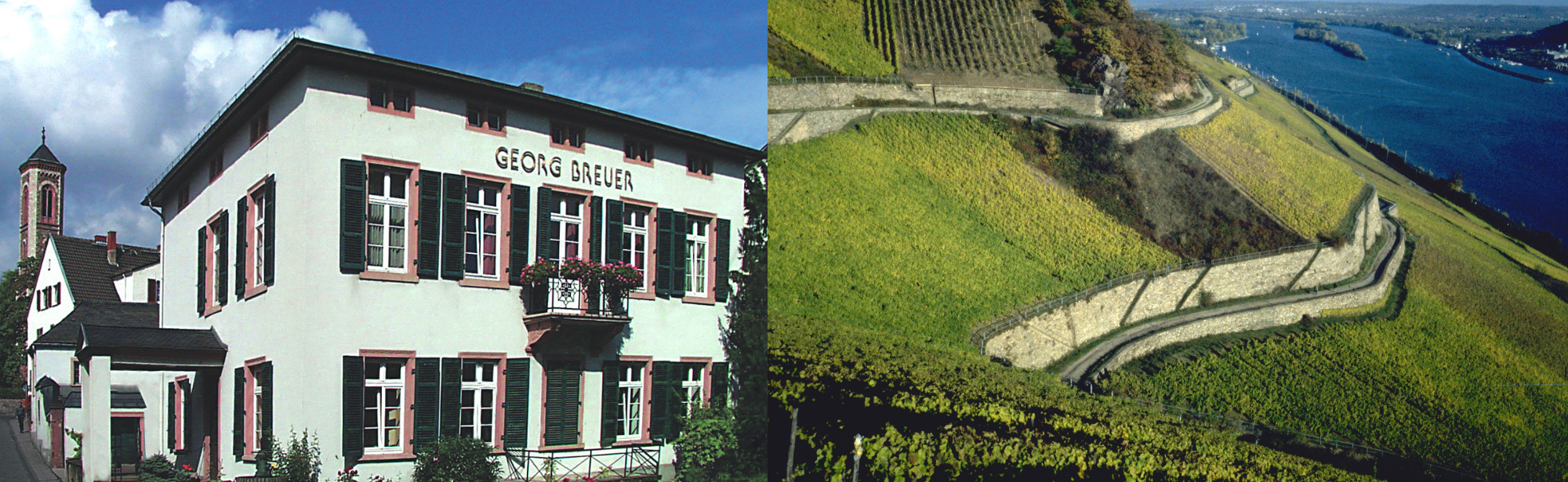 Links ein historisches Gebäude mit dem Schriftzug "Georg Breuer". Rechts Weinberge an einem Flussufer.