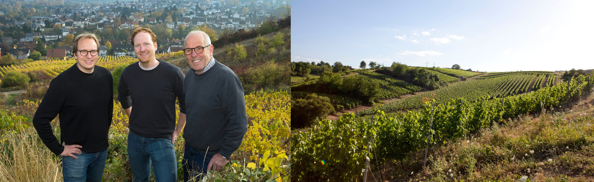 Drei Männer stehen in einem herbstlichen Weinberg, im Hintergrund eine Stadt; daneben eine grüne Weinlandschaft.