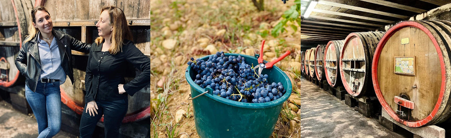 Collage aus: zwei Frauen in einer Weinkellerei, Eimer voller blauer Trauben im Weinberg, und große Holzfässer im Keller.