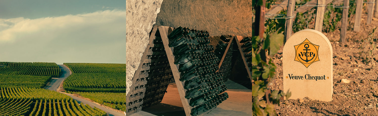 Weinberge mit einem Weg, Champagnerflaschen auf Regalen in einem Keller und ein Veuve Clicquot-Schild in einem Weinberg.