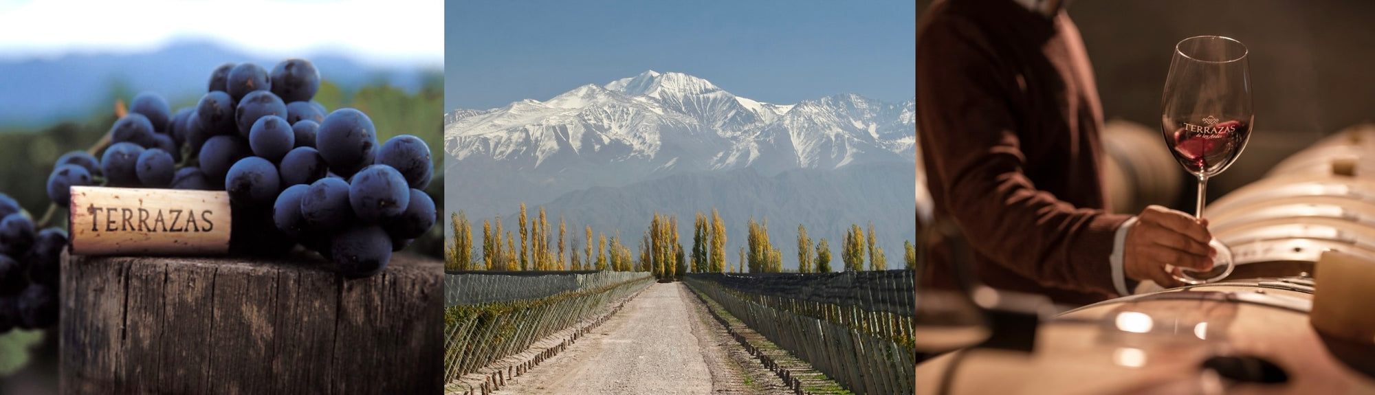 Terrazas de los Andes