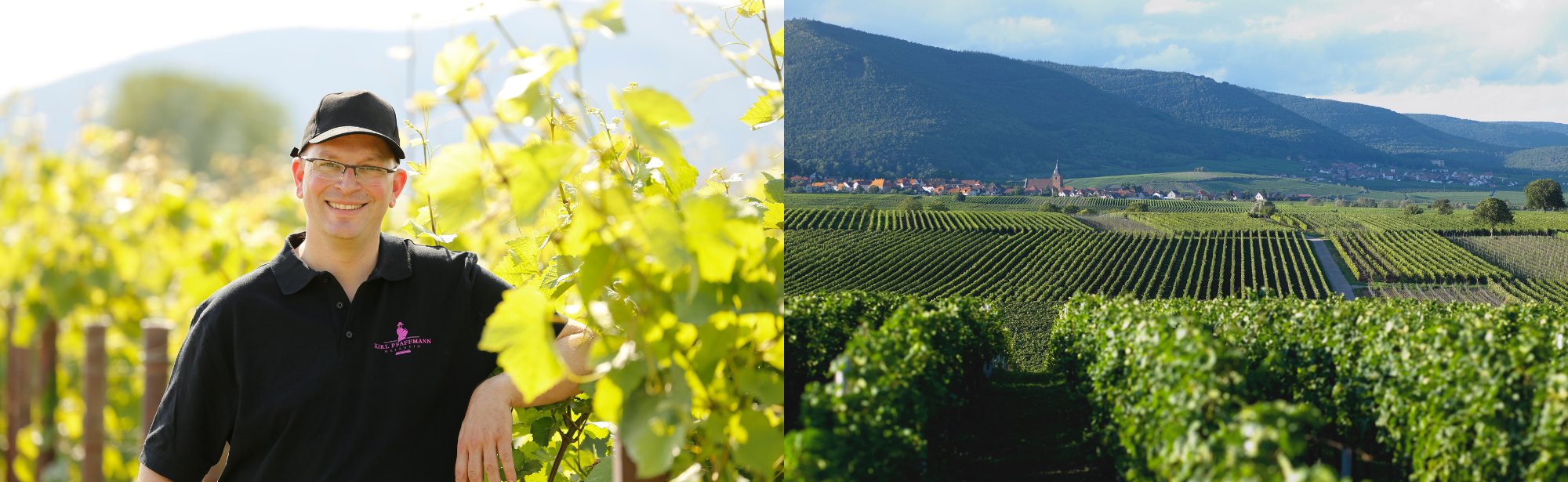 Mann mit Brille und Mütze in einem Weinberg, mit weiter Landschaft und Dörfern im Hintergrund.