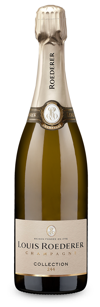 Collection 244 brut