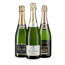 Champagner deluxe: 3 Flaschen purer Genuss!
