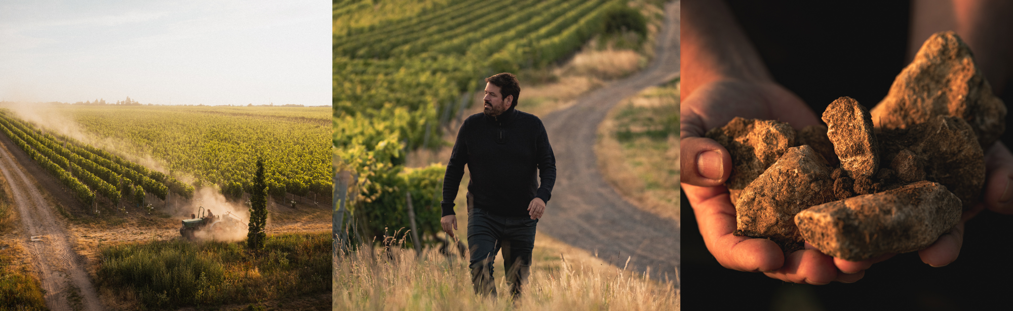 Dreiteiliges Bild: Ein Traktor auf einem Weinberg, ein Mann in einem Weinberg und Hände, die Steine halten.