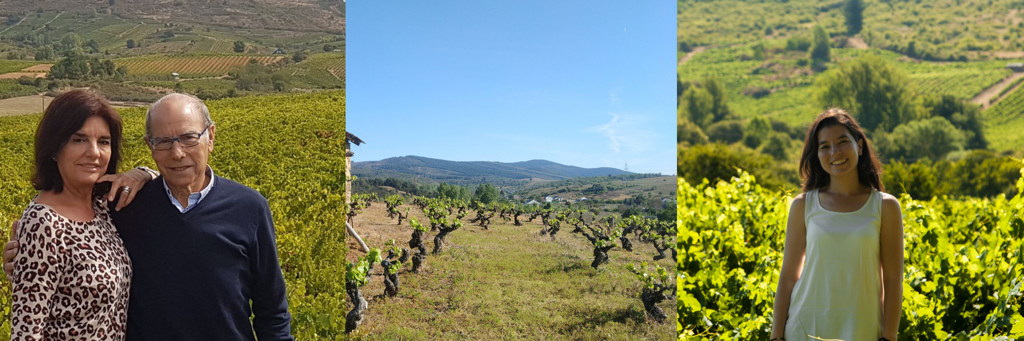 Links: Ein Paar vor Weinbergen. Mitte: Weitblick auf Weinlandschaft. Rechts: Junge Frau in einem Weinberg.