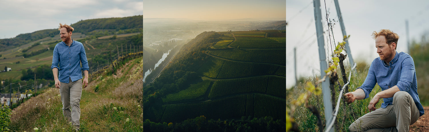 Drei Männer stehen in einem herbstlichen Weinberg, im Hintergrund eine Stadt; daneben eine grüne Weinlandschaft.