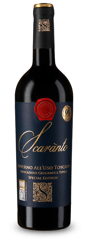Governo Special Edition 2020