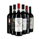 Wine in Black Best of Toskana-Paket
