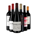Wine in Black Outstanding Spanien Best-Buy-Set