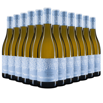 12 Flaschen Buddy & Soil Sauvignon Blanc trocken 2020