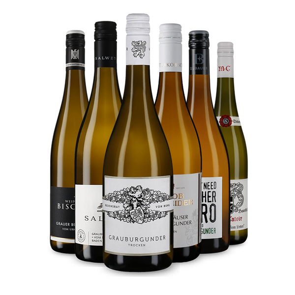 Wine in Black Grauburgunder-Lover-Paket