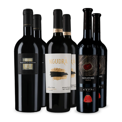 Wine in Black Premium-Primitivo-Paket