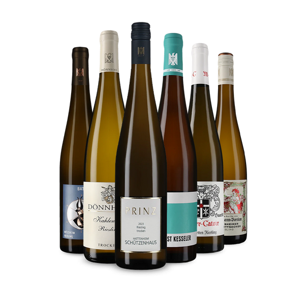 Wine in Black Riesling aus Ersten Lagen-Paket