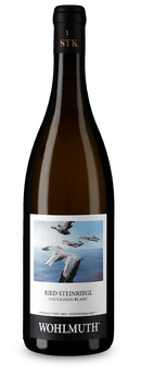 Sauvignon Blanc Ried Steinriegl 2021