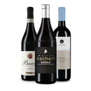 Wine in Black Piemont-Paket