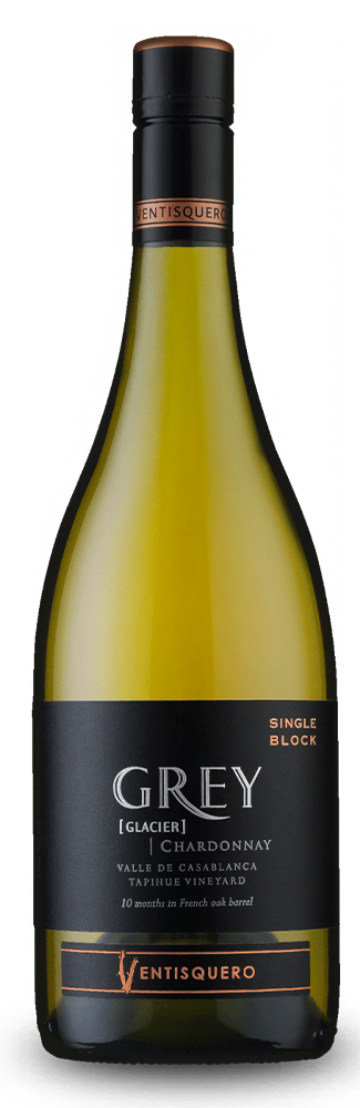 Chardonnay Grey Casablanca Valley 2021