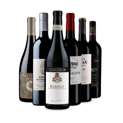 Sucklings Rotwein-Lieblinge im 6er-Set
