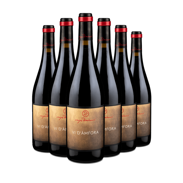 6 Flaschen Vi D'Àmfora Natural Montsant 2021