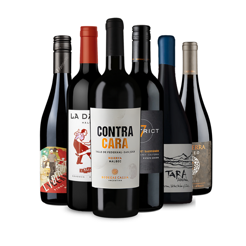 Panamerica Tour: Rotweine im 6er-Paket