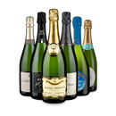 Elegante Champagner im 6er-Paket