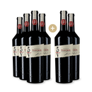 6 Flaschen 5/V Toscana Rosso
