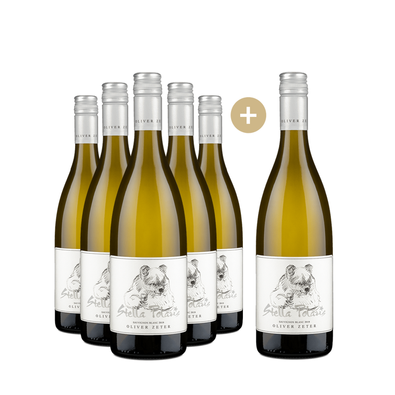 5+1 Flaschen Sauvignon Blanc Stella Polaris trocken 2020