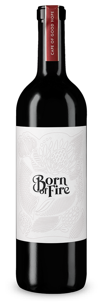 Syrah 2021