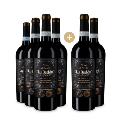 4+2 Flaschen Nero d’Avola Sicilia Appassimento 2022