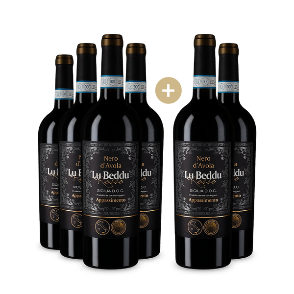 4+2 Flaschen Nero d’Avola Sicilia Appassimento 2022