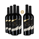 6x Salsedine Rosso 2022