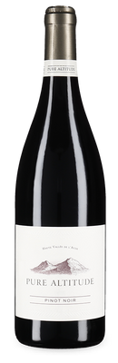Pinot Noir Haute Vallée de l'Aude 2023