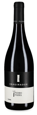 Imaginador Cinsault 2021