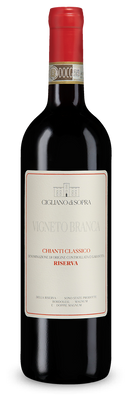 Chianti Classico Riserva Vigneto Branca 2021