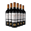6x Castillon Côtes de Bordeaux 2020