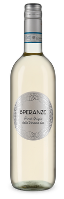 Pinot Grigio delle Venezie 2024