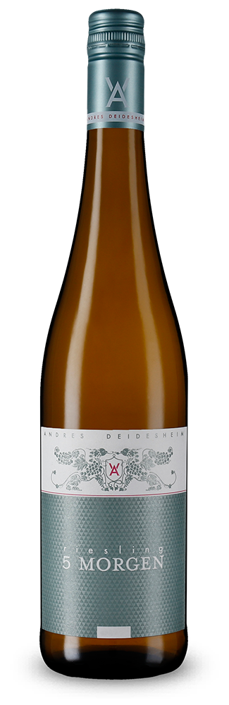 Riesling 5 Morgen trocken 2024