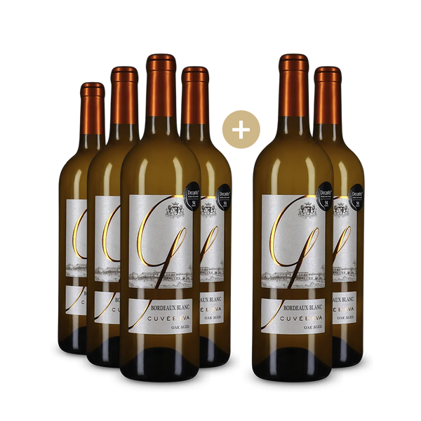 4+2 Flaschen Bordeaux Blanc 2023