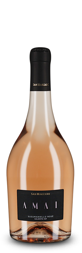 Amai Susumaniello Rose 2024