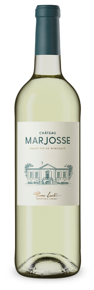 Bordeaux Blanc 2024