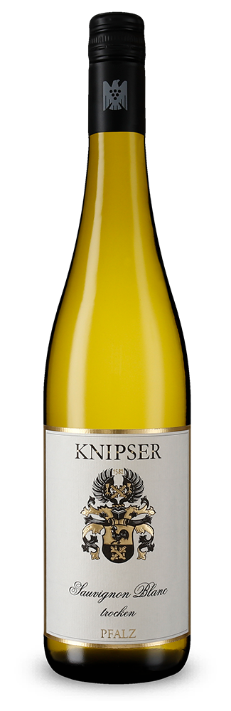 Sauvignon Blanc trocken 2024