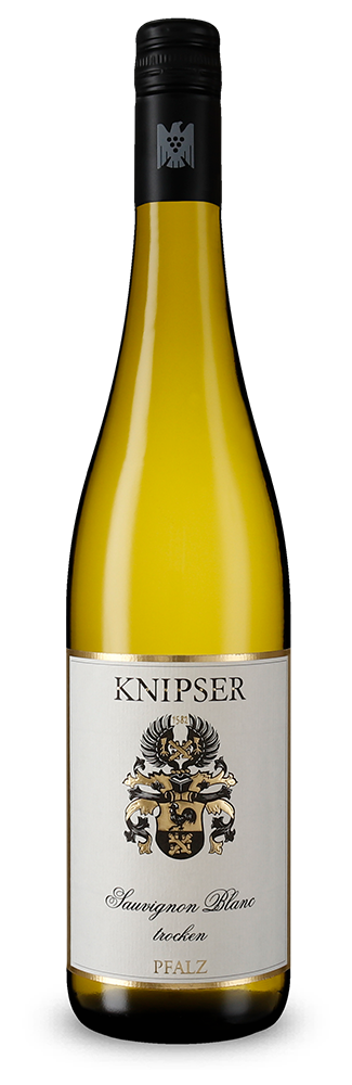 Sauvignon Blanc trocken 2024