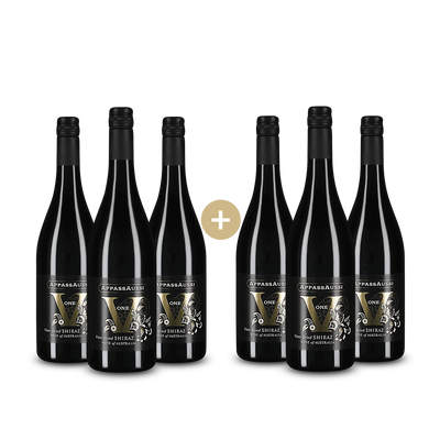 3+3 Flaschen AppassAussi Vine Dried Shiraz 2021