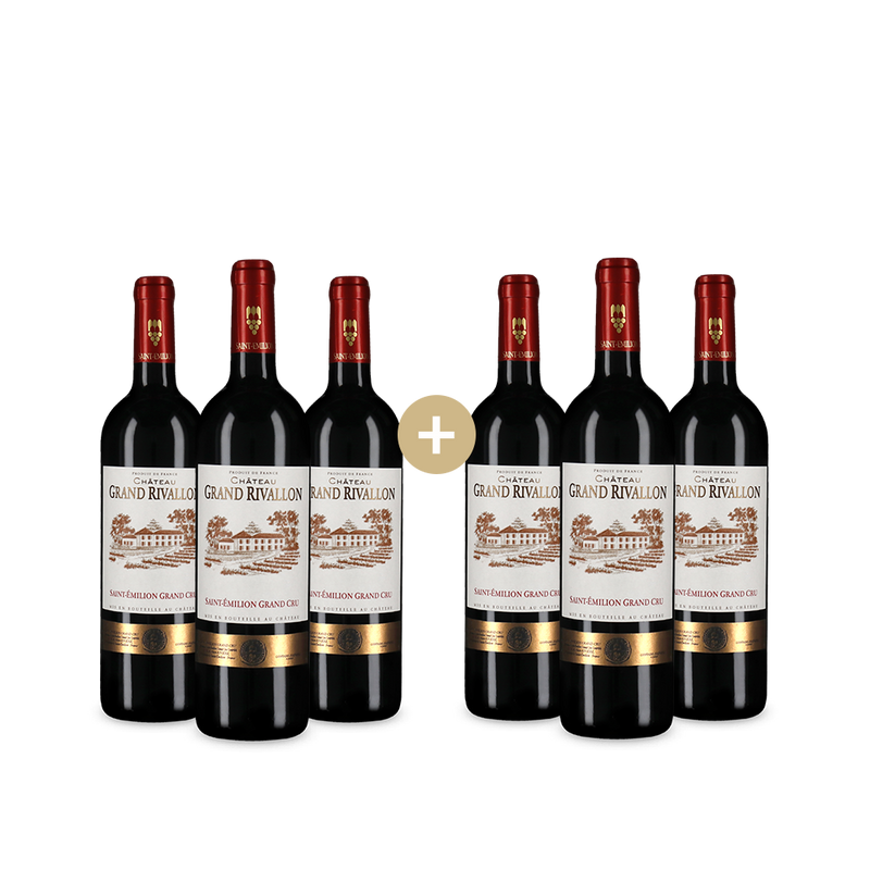 3+3 Flaschen Saint-Émilion Grand Cru 2022
