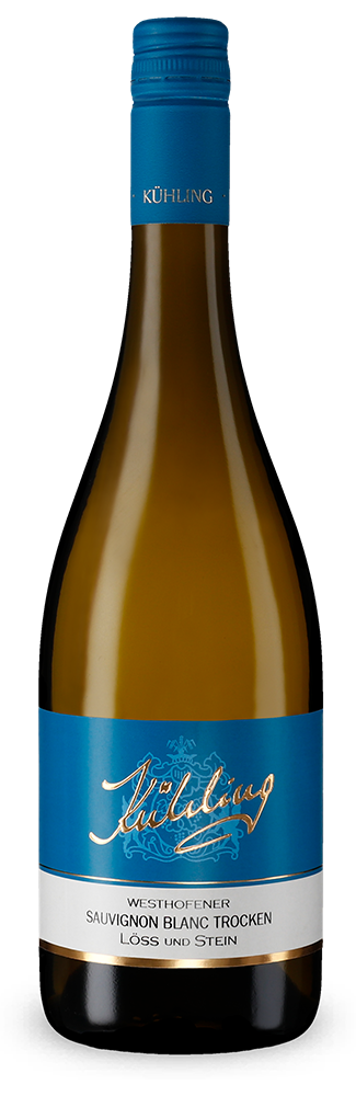 Westhofener Sauvignon Blanc Löss und Stein trocken 2024