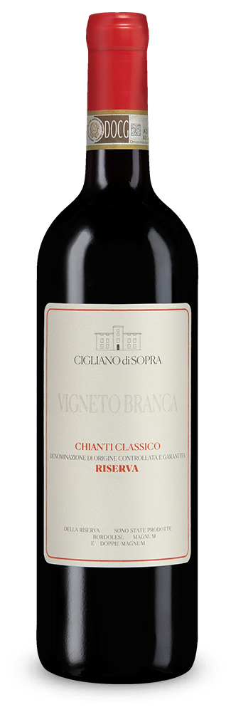 Chianti Classico Riserva Vigneto Branca  2022