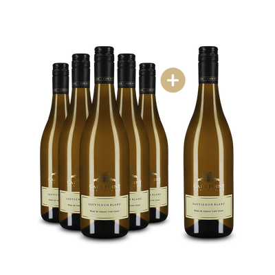 5+1 Flaschen Sauvignon Blanc 2024