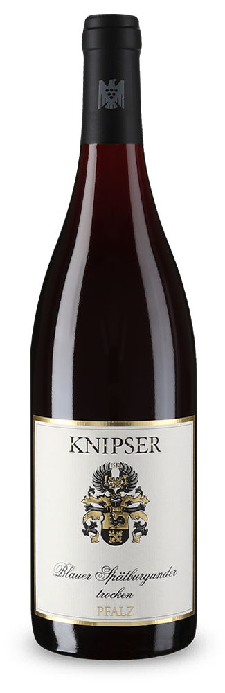 Blauer Spätburgunder trocken 2020