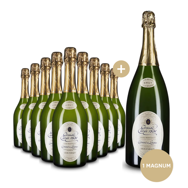 9 Flaschen Aimery Grande Cuvée 1531 + Magnum-Flasche