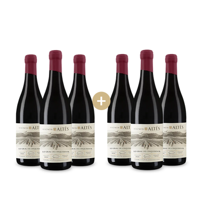 3+3 Flaschen Lo Grau de l'Inquisidor Syrah 2020